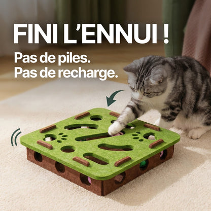ToyBox: Le meilleur jeu pour stimuler votre chat!