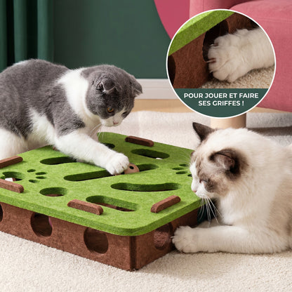 ToyBox: Le meilleur jeu pour stimuler votre chat!