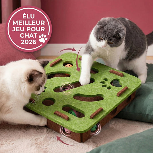 ToyBox: Le meilleur jeu pour stimuler votre chat!