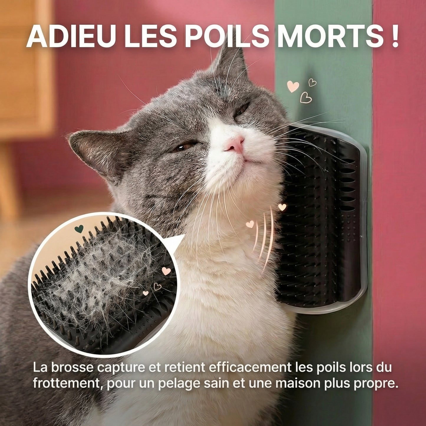 CornerBrush™ : Gratouilles murales pour votre chat