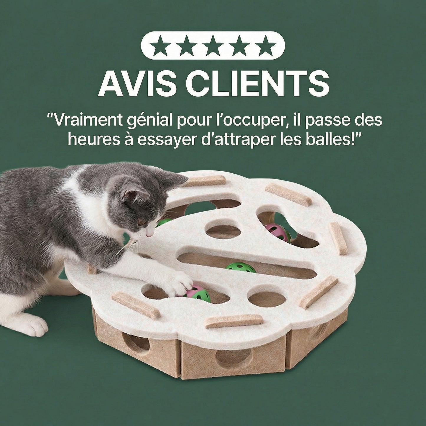 ToyBox: Le meilleur jeu pour stimuler votre chat!