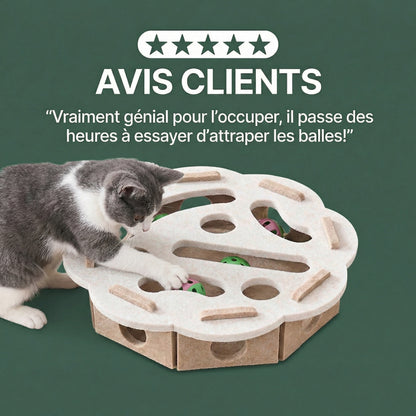 ToyBox: Le meilleur jeu pour stimuler votre chat!
