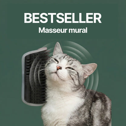 CornerBrush™ : Gratouilles murales pour votre chat